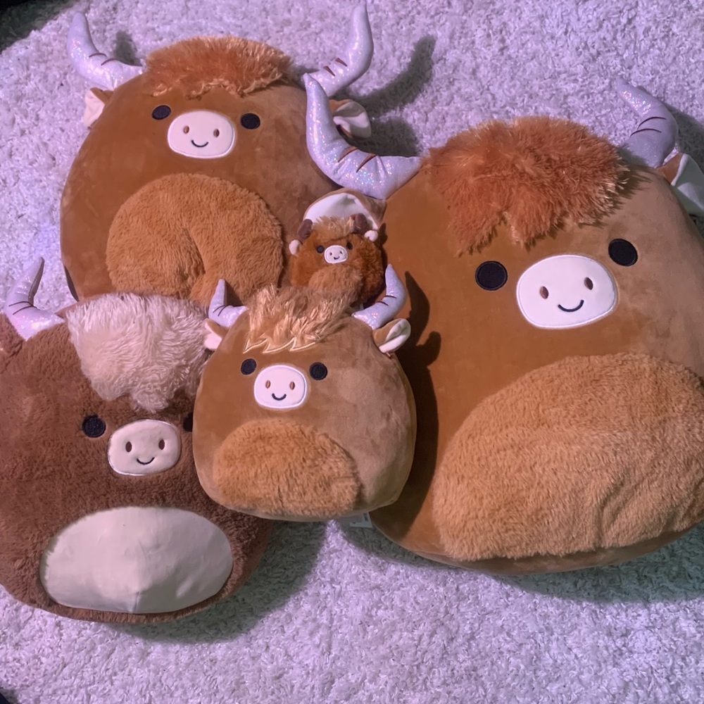 Squishmallow Calton Wilfred Bundle